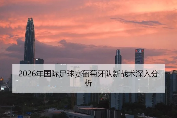2026年国际足球赛葡萄牙队新战术深入分析