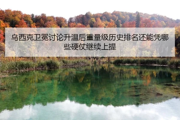 wu-xi-ke-wei-mian-tao-lun-sheng-wen-hou-zhong-liang-ji-li-shi-pai-ming-hai-neng-ping-na-xie-ying-zhang-ji-xu-shang-ti-2-321.jpg