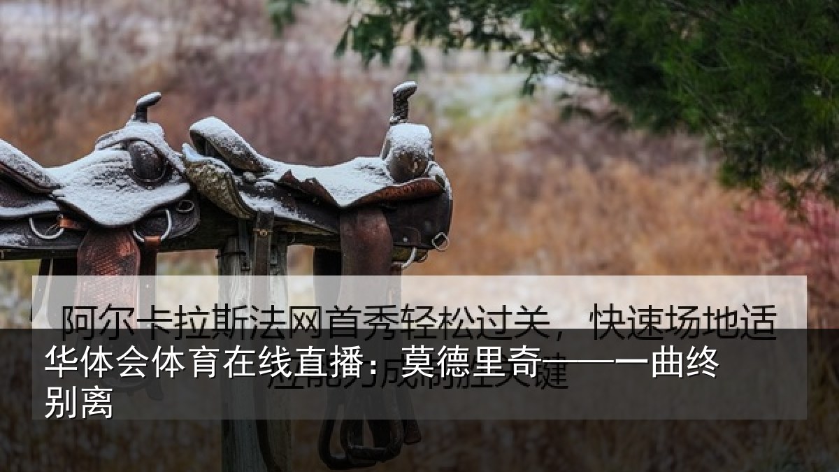华体会体育在线直播:莫德里奇——一曲终别离