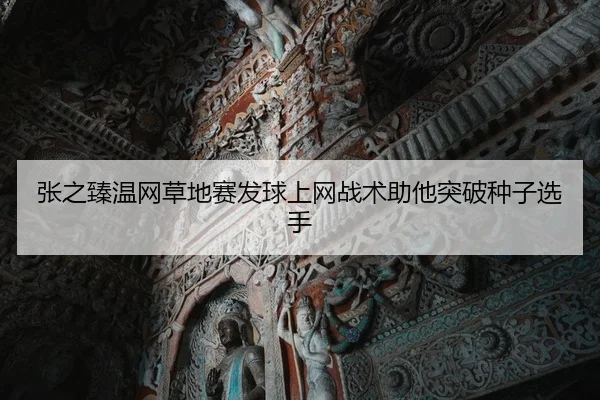 zhang-zhi-zhen-wen-wang-cao-di-sai-fa-qiu-shang-wang-zhan-shu-zhu-ta-tu-po-zhong-zi-xuan-shou-2-304.jpg