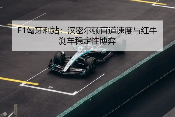 xiong-ya-li-zhan-han-mi-er-dun-zhi-dao-su-du-yu-hong-niu-sha-che-wen-ding-xing-bo-yi-3-259.jpg